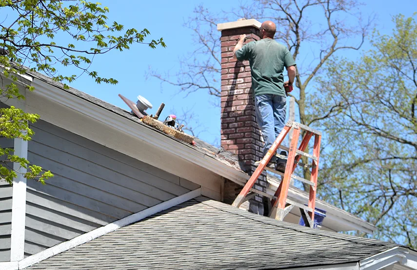 Chimney & Fireplace Inspections Services in The Crossings, FL